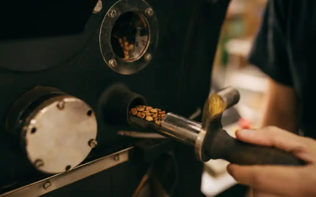 Exceptional Coffee for Everyone